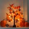 24” Lighted Maple Leaves Tree – 2FT Autumn Table Decor with 24 LED Lights & 12 Wood Pumpkin Ornaments, Battery-Powered Timer Artificial Fall Tree for Home & Thanksgiving Decorations